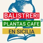 Finca Balistrieri: la primera plantación de café en Italia está en Sicilia cafe_balistreri
